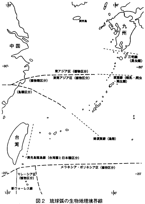 琉球弧の考古学